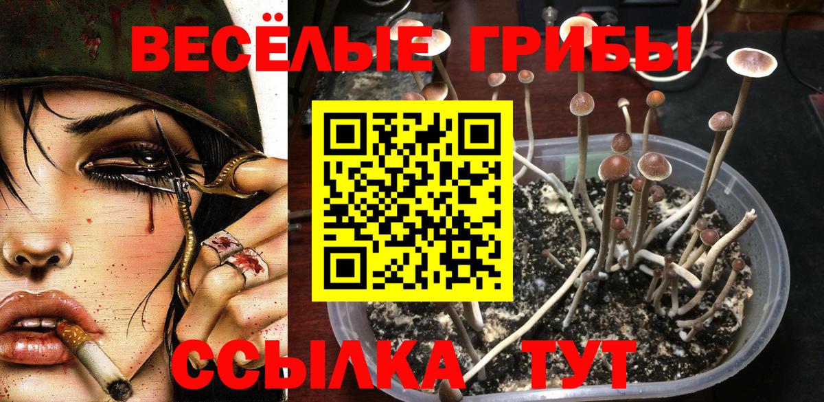 Псилоцибиновые грибы Magic Shrooms  Вход с VPN  Знаменск 