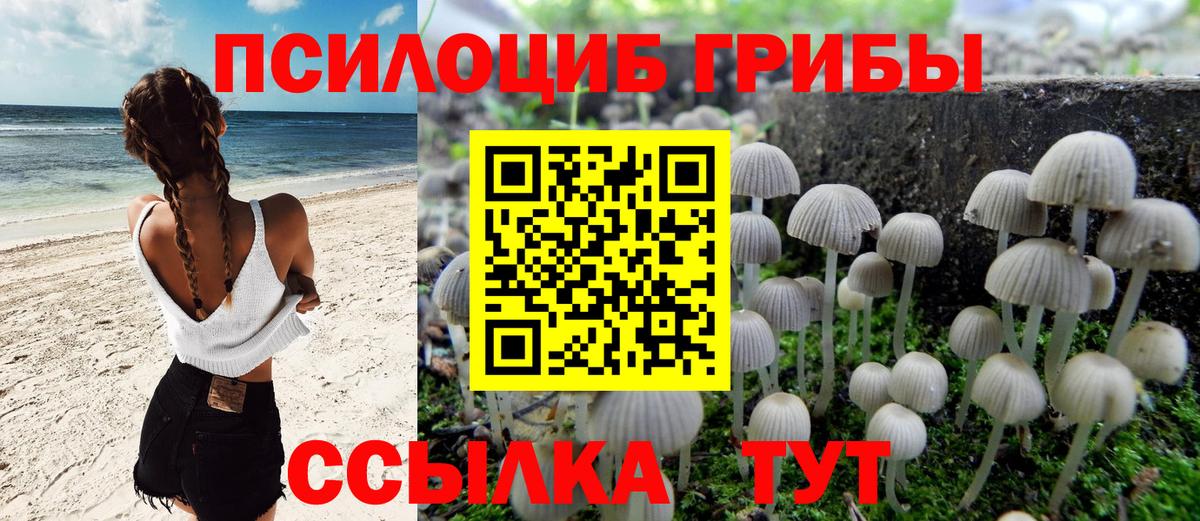 Галлюциногенные грибы мухоморы Знаменск